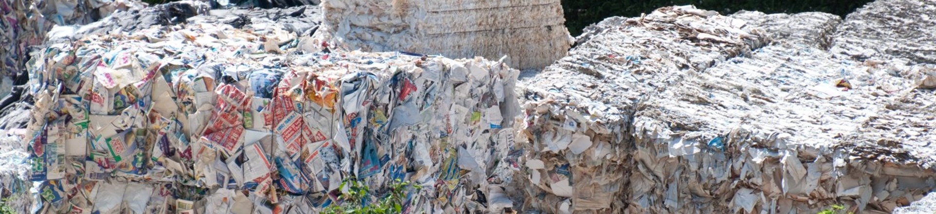 Paper Recycling In Ponte A Serraglio